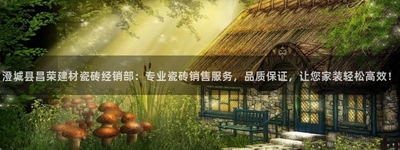 杏鑫平台代理怎么样啊