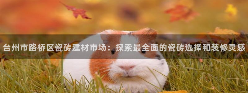 杏鑫注册地址
