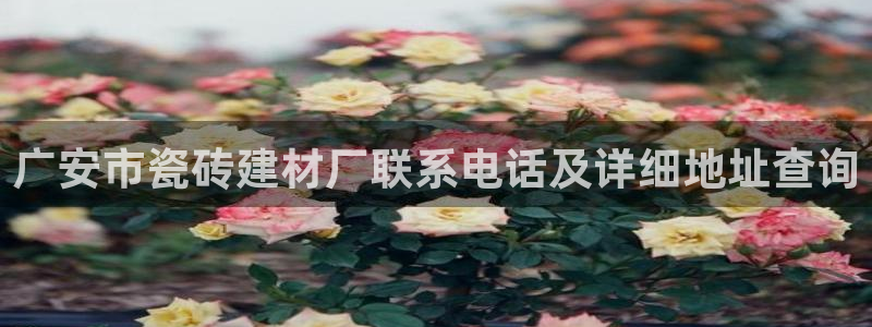 杏鑫娱乐是真的吗