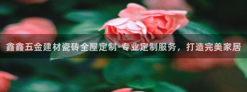 杏鑫平台在线注册流程