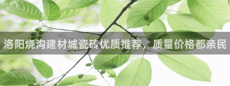 杏鑫平台注册登录