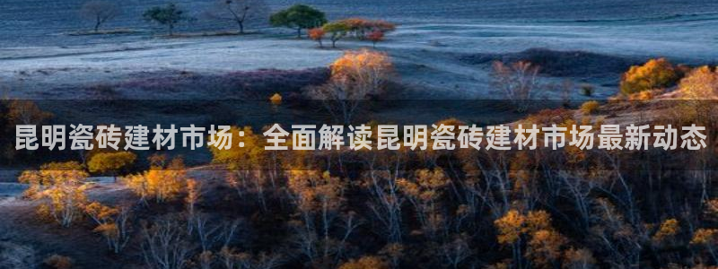 杏鑫平台野马联盟怎么样