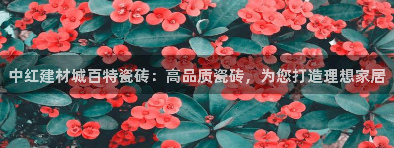 杏鑫主管