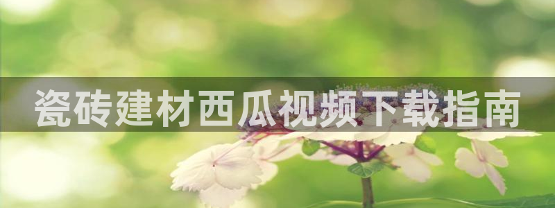 杏鑫娱乐官网