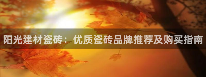 杏鑫平台招商电话号码