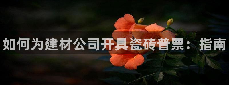 杏鑫官网注册账号怎么注册