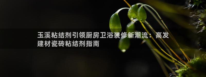 杏鑫平台登录地址查询