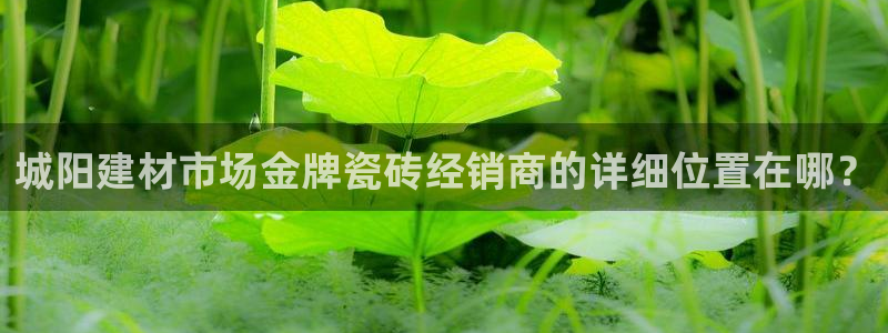 杏鑫平台正规吗可信吗