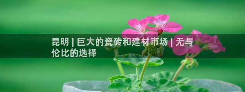 杏鑫娱乐是真的吗